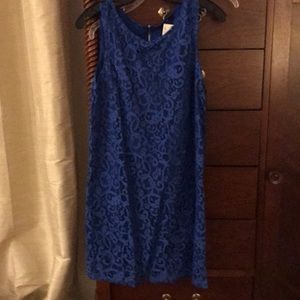 H & M blue lace shift dress